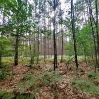 Sulak Campground ico