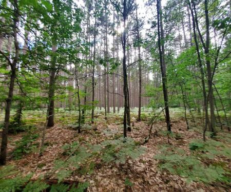 Sulak Campground