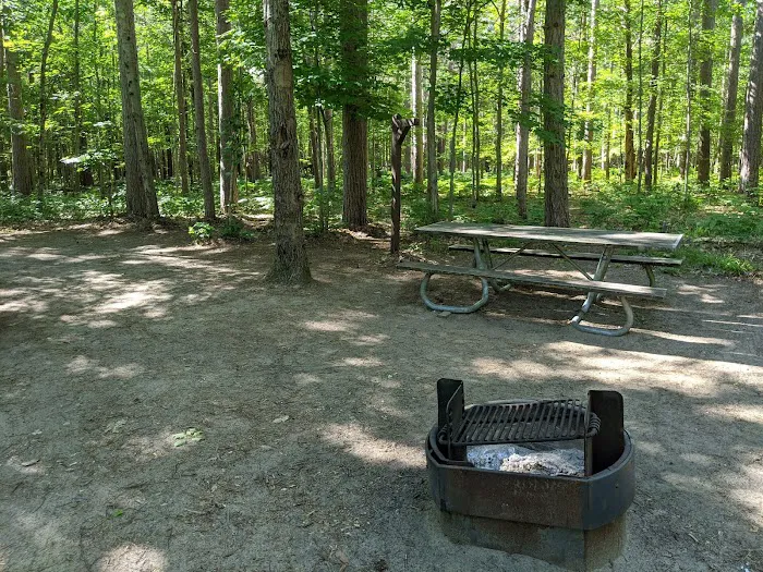 Sulak Campground Picture 5