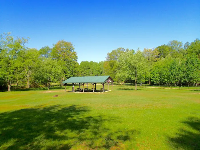 Ludington East / Pere Marquette River KOA Holiday Picture 1