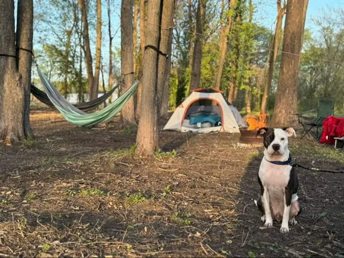 Fiedlerland RV Park & Campground Picture 6