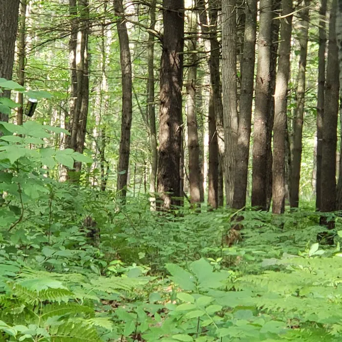Timber Creek Campground Picture 7