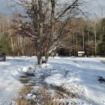 Timber Creek Campground