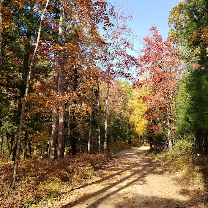 Timber Creek Campground Picture 10