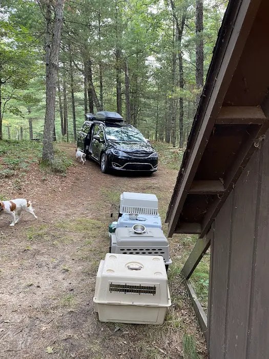 The Pines Campground Picture 8
