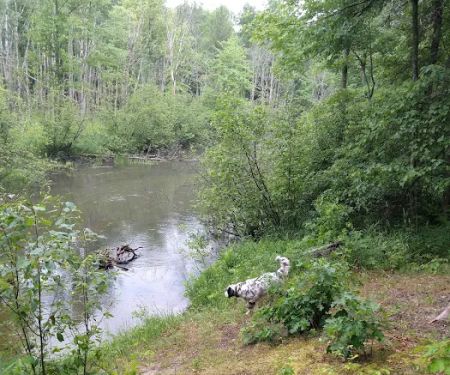 Old Grade Campground