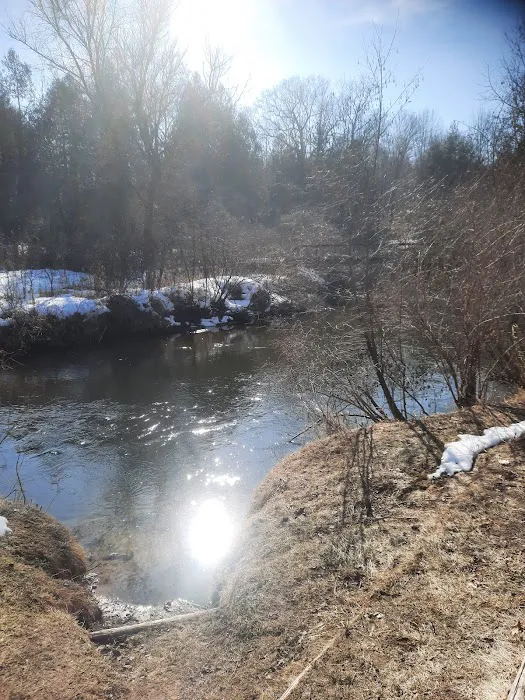 Silver Creek State Forest Campground Picture 2