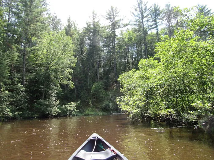 Lincoln Bridge State Forest Campground Picture 8