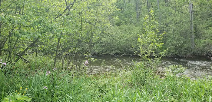 Lincoln Bridge State Forest Campground Picture 1