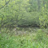 Lincoln Bridge State Forest Campground ico