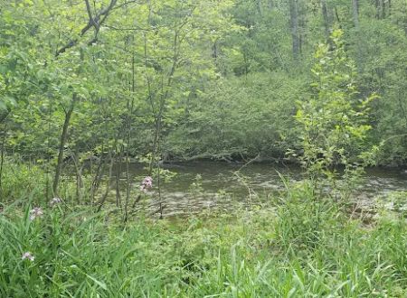 Lincoln Bridge State Forest Campground