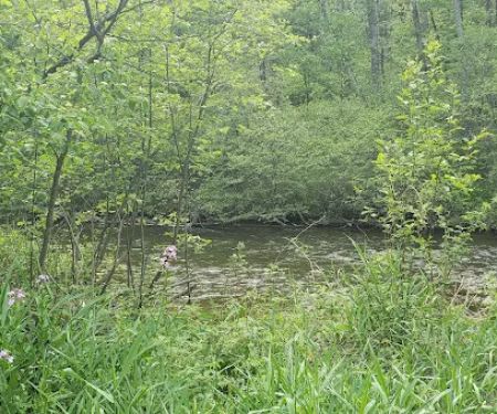 Lincoln Bridge State Forest Campground