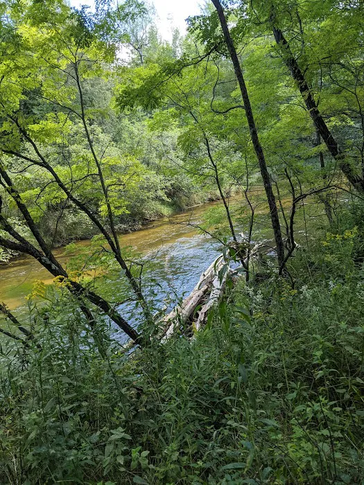 Lincoln Bridge State Forest Campground Picture 4