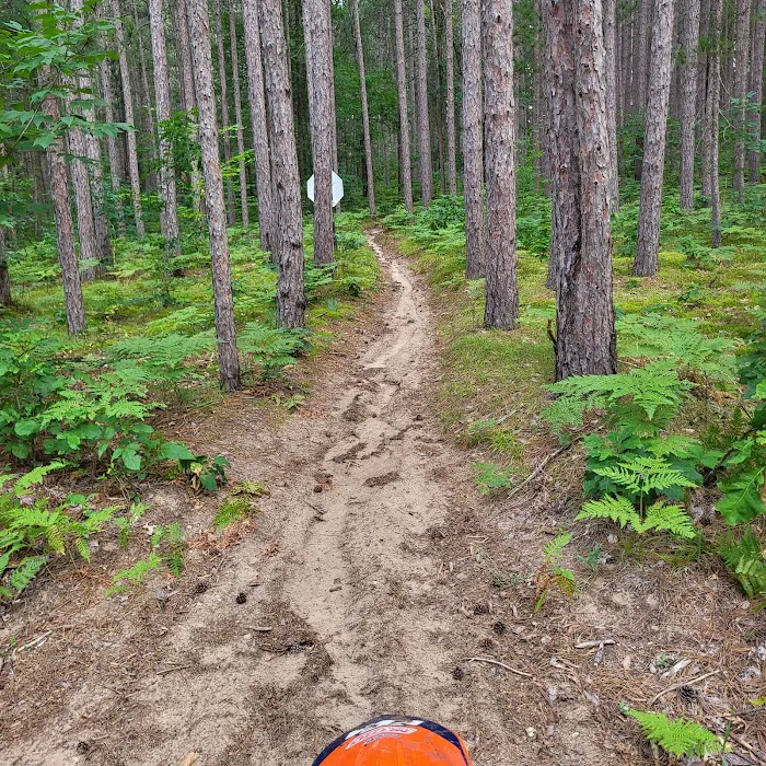 Kestelwoods Campground Picture 7