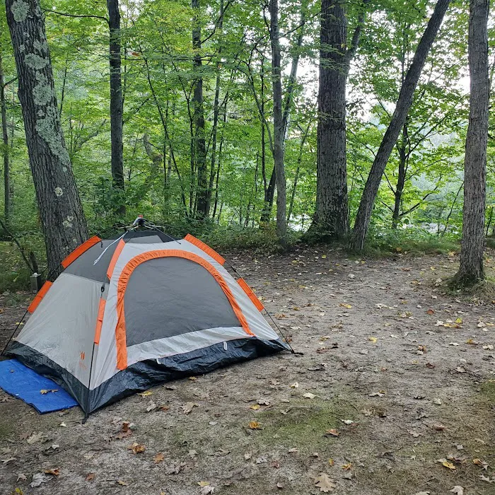 Peterson Bridge South Campground Picture 8
