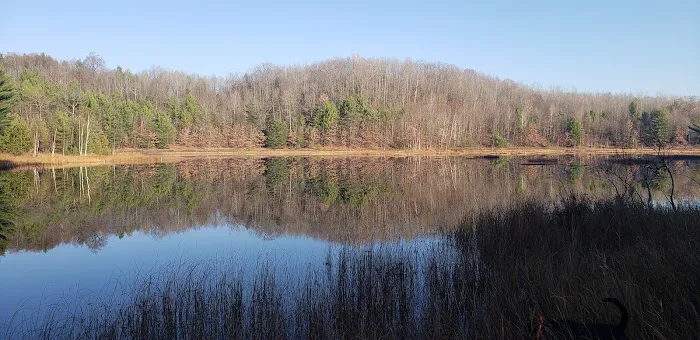 Long Lake (Missaukee) State Forest Campground Picture 3