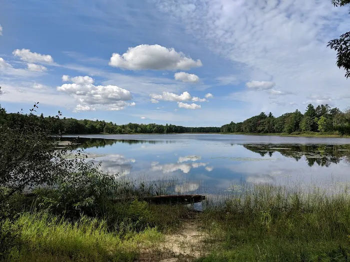 Goose Lake State Forest Campground Picture 4