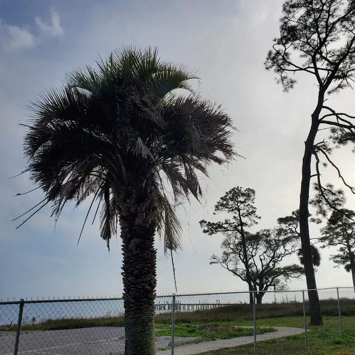 NSA Panama City RV Park Picture 9