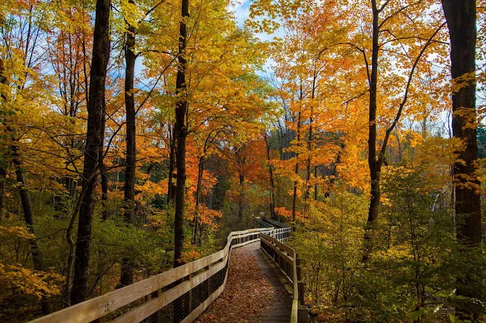 Chippewa Landing Picture 7