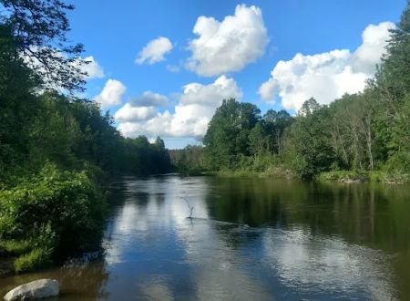 Chippewa Landing