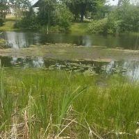 Natural Resources Department ico