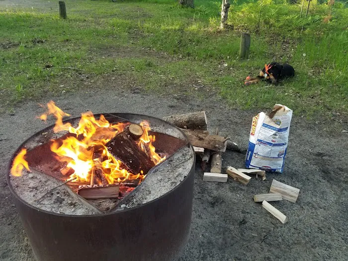 Lake Margrethe State Forest Campground Picture 1