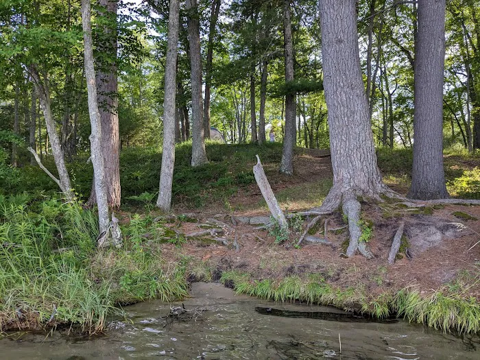 Lake Margrethe State Forest Campground Picture 8