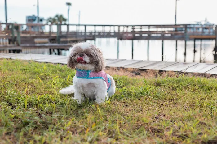 Nautical Point RV Park Picture 5