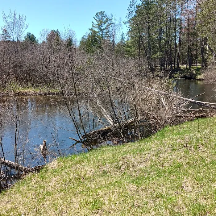 CCC Bridge State Forest Campground Picture 1
