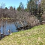 CCC Bridge State Forest Campground