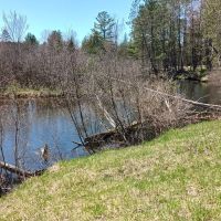 CCC Bridge State Forest Campground ico