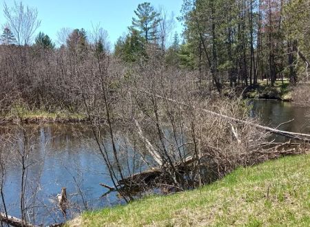 CCC Bridge State Forest Campground