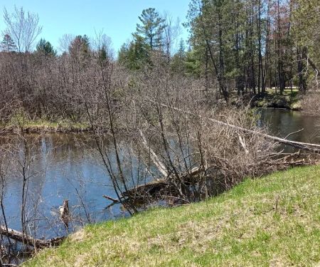 CCC Bridge State Forest Campground