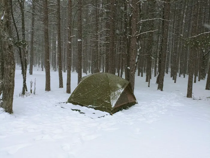 CCC Bridge State Forest Campground Picture 2