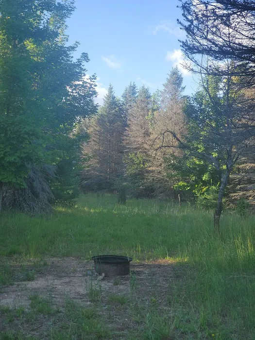 Camp Stonewood Ranch Picture 2