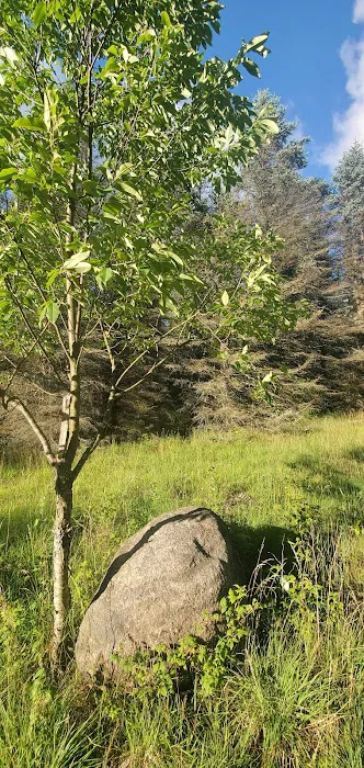 Camp Stonewood Ranch Picture 6