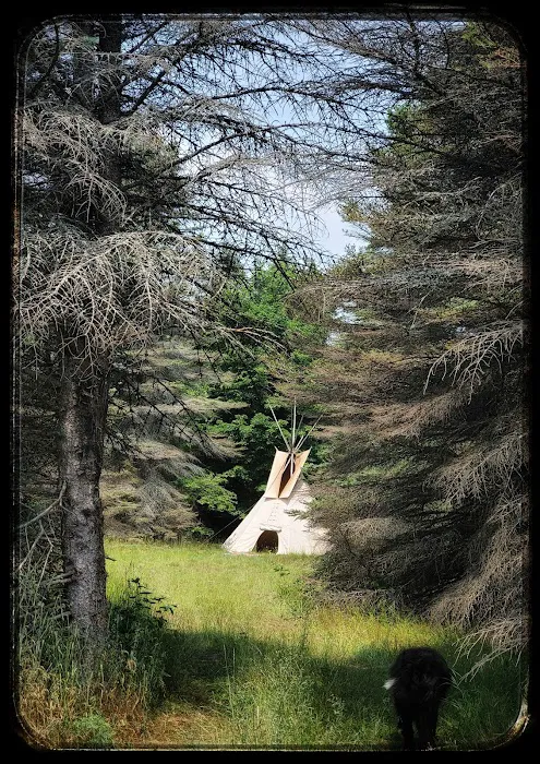 Camp Stonewood Ranch Picture 7