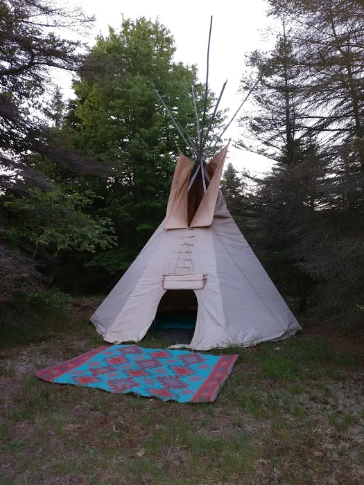 Camp Stonewood Ranch Picture 3