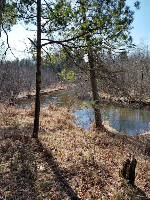 Hopkins Creek Trail Campground Picture 2