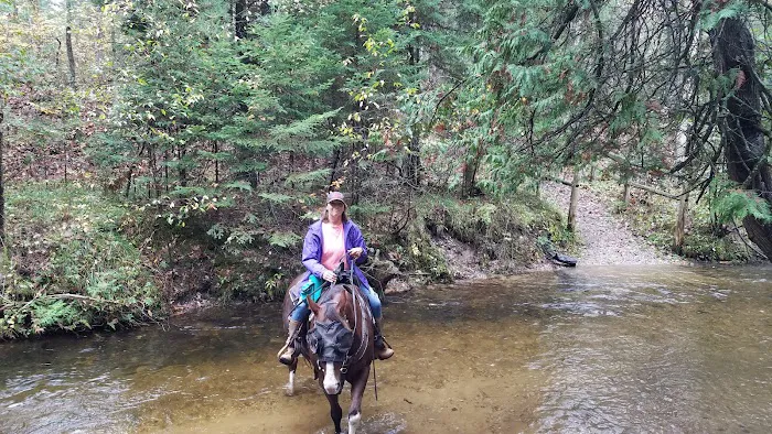 Hopkins Creek Trail Campground Picture 4