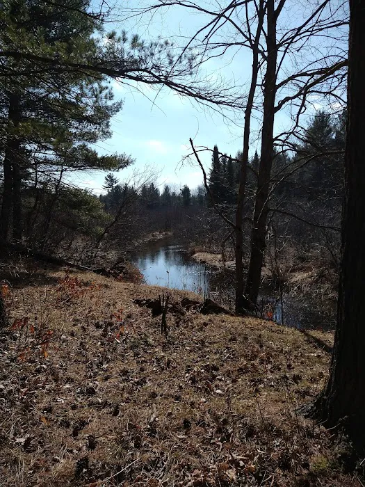 Hopkins Creek Trail Campground Picture 3