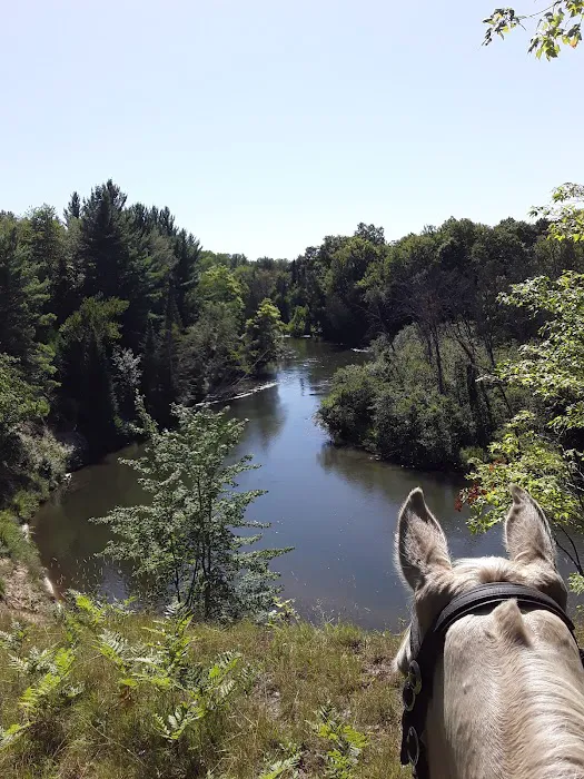 Hopkins Creek Trail Campground Picture 5