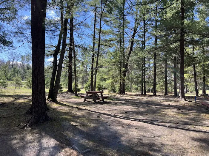 Fox Run Family Campground & Rv Park Picture 4