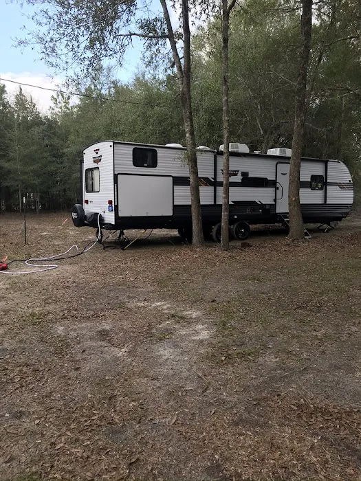 Liveoak Rv Park-Alabama Picture 2