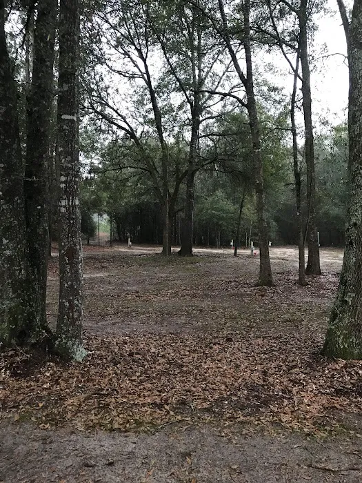 Liveoak Rv Park-Alabama Picture 1