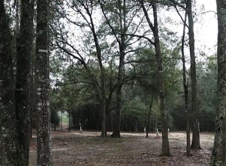 Liveoak Rv Park-Alabama