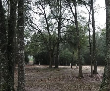 Liveoak Rv Park-Alabama