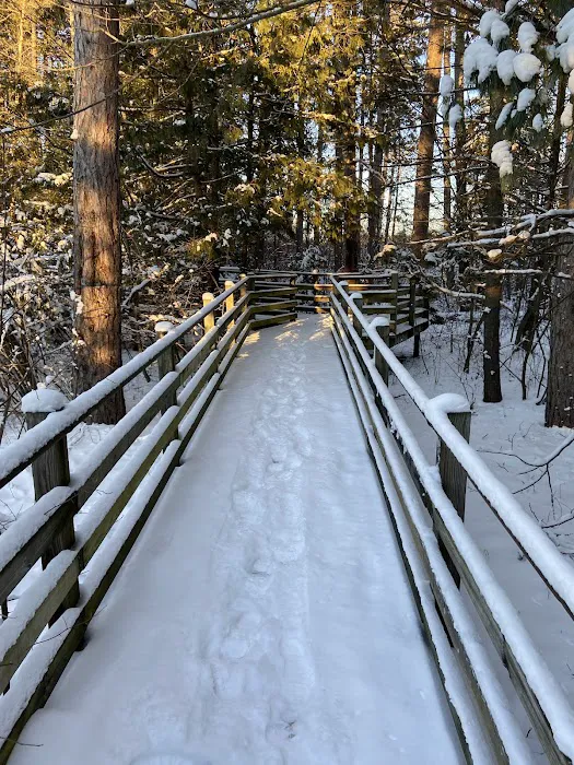 Oscoda County Park Picture 6