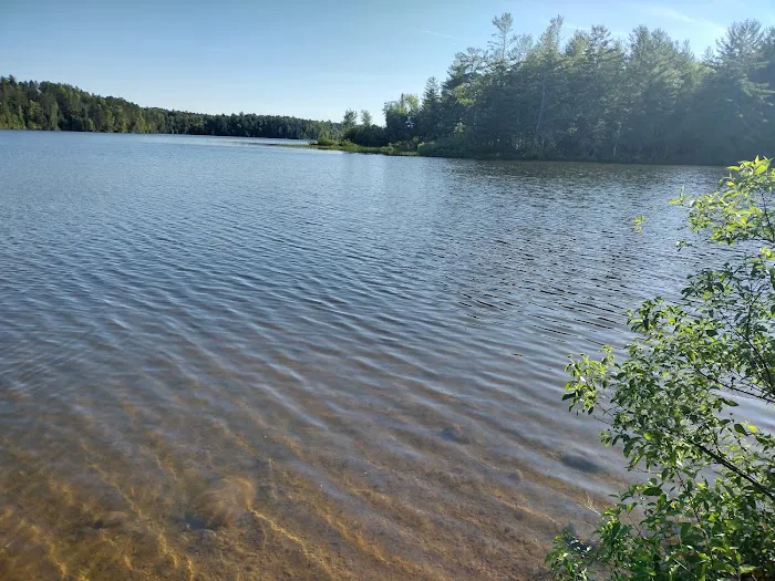 Mio Pond State Forest Campground circle camp Picture 7