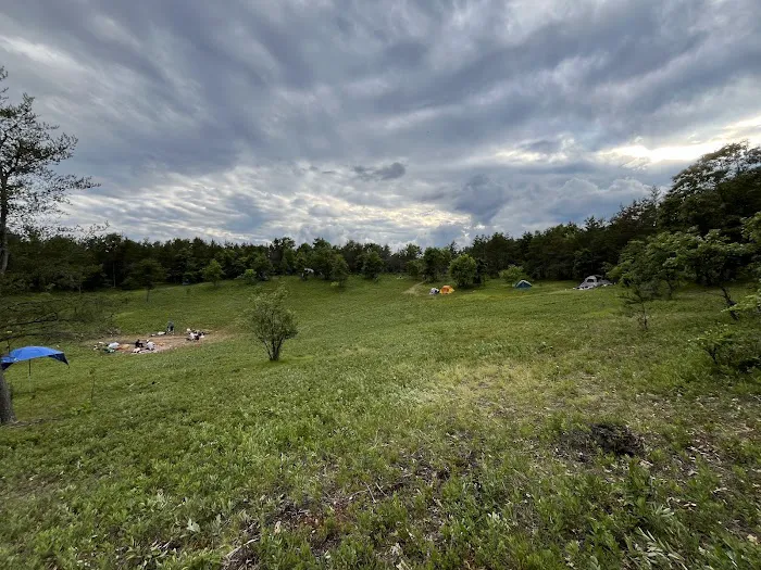 Mio Pond State Forest Campground circle camp Picture 2